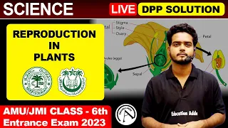 Reproduction in Plants  | DPP Solution | Class 6th AMU/JMI Preparation Batch | Entrance Exam 2023