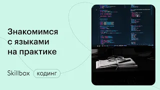 Обзор языков программирования. Интенсив по программированию