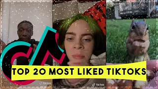 TOP 20 Most Liked TikToks Of All Time!! (JUNE 2021 UPDATED)