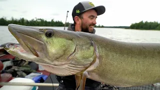 Chasing Wisconsin 50" Musky In PERFECT Weather!!!