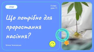 Що потрібно для проростання насіння?