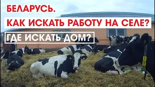 Я НЕ СМОГУ ВАМ НАЙТИ РАБОТУ И ДОМ//ПРОГУЛКА ПО ВТОРОМУ АГРОГОРОДКУ НАШЕГО КОЛХОЗА