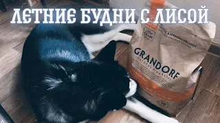 Всё моё!Никому не отдам!