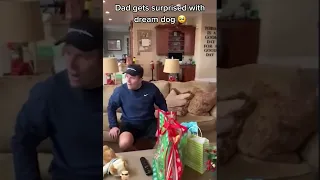 Dad gets surprised with dream dog 🥺🥺 #shorts #tiktok #viral #trend #edit #dog #pets #surprise #love