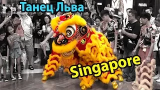 Танец льва в Сингапуре | the Lion Dance | 舞獅