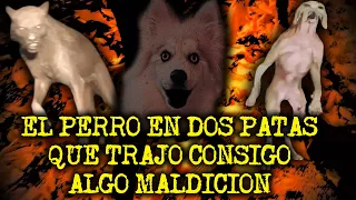 MIS 3 PERROS ME HABLARON Y YA NO SON LOS MISMOS - EXPERIENCIAS CON PERROS ACTUANDO COMO HUMANOS