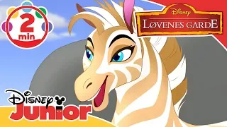 Løvenes garde | Musikk: Sebraenes sang 🦓- Disney Junior Norge