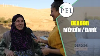 DERDOR - MÊRDÎN / DARÊ