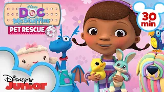 Pet Rescue | 30 Minute Compilation | Doc McStuffins | @disneyjunior