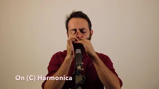 Harmonica_Badinerie By Bach in D minor  On ( C ) diatonic harmonica. Babak safarnejad