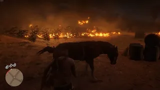 Horse Chaos