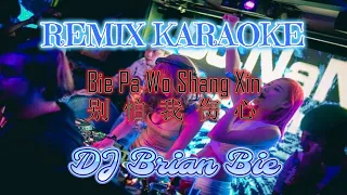 Remix Karaoke || No Vocal || Bie Pa Wo Shang Xin - 别怕我伤心 || By Dj Brian Bie