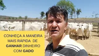 CONHEÇA A MANEIRA MAIS RÁPIDA DE  GANHAR DINHEIRO COM GADO.