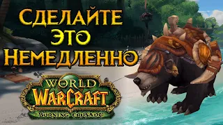 Что нужно сделать до выхода World of Warcraft: Wrath of the Lich King