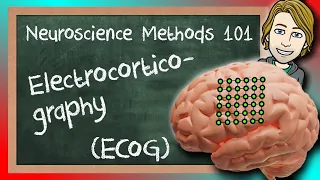 Electrocorticography (ECoG) Explained! | Neuroscience Methods 101