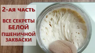 2-я часть! ВСЕ о пшеничной закваске на муке высшего сорта ! (Как кормить и хранить закваску)