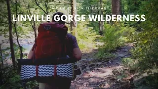 Linville Gorge Wilderness Loop