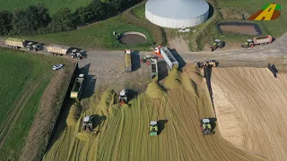 Großeinsatz Maishäckseln 2020 – 3500 ha Maisernte 20 Claas Traktoren / Häcksler farmer corn harvest