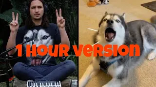 The Kiffness X Haiku The Husky - Ancient Husky Melody (1 HOUR VERSION)