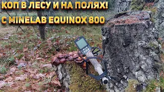 Коп в лесу и на полях! C Minelab Equinox 800