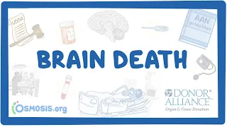 Donor Alliance - Brain Death