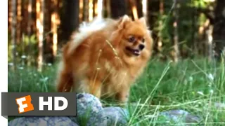 Lake Placid 3 (2010) - Eating a Dog Scene (2/10) | Movieclips
