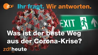 Corona-Sprechstunde mit Charité-Epidemiologen