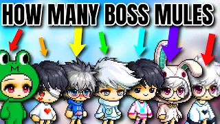 How Many BOSS MULES Should YOU Have in Maplestory Reboot?