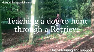 Teaching a spaniel to Hunt