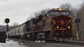 NS 8102 leads 12G - Seward, PA