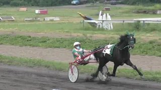 Красноярск 5.07.2020г.  Приз Барса Рыс. 4-х лет 1600м.