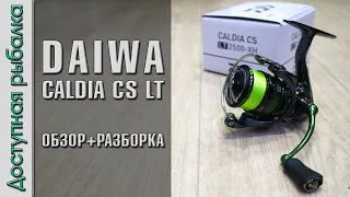 Катушка DAIWA CALDIA CS LT с АлиЭкспресс | Распродажа на AliExpress | Обзор с разборкой