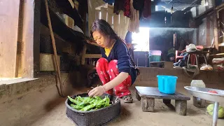 Morning routine of village girl | Naga Village lifestyle | Cook simple food | Naga girl rural life