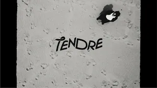 TENDRE - LIGHT HOUSE（Official Music Video）