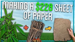 Making Paper Out Of Trees (100% From Scratch)