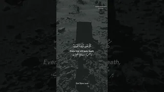Surah Al-Ankabut relaxing recitation by Abdul Rahman mossad #quran #translation #subtitles #english