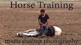 Horse training