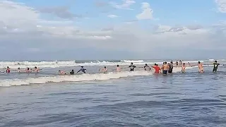 Beachgoers form human chain to save drowning tourist from lashing waves