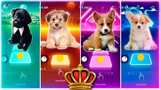 Cute Puppies | Lady Gaga Bloody Mary | Shakira Waka Waka | Imagine Dragons J I D Enemy - Tiles Hop