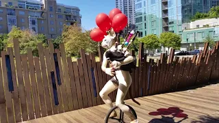 Happy Birthday Cat Plays Bubbling Bagpipes on a Unicycle