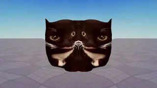 Maxwell the cat but with different effects