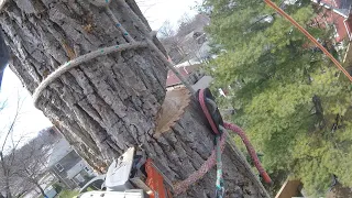 Safebloc: Basic Setup  |  Arborist Rigging Basics