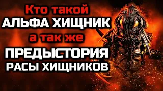 КТО ТАКОЙ АЛЬФА ХИЩНИК | ПРЕДЫСТОРИЯ РАСЫ ХИЩНИКОВ