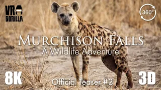 Hyenas on the Prowl - Murchison Falls - Official Teaser #2 (8K 3D 360 VR Video)