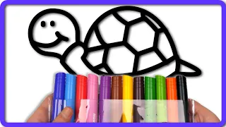 🐢 Turtle Drawing and Coloring Page | Fun and Educational Activity for Kids | AKN Kids House