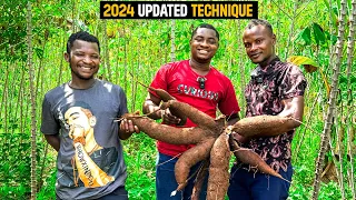 How To Grow and Harvest Cassava in LESS Than 6 MONTHS in Ghana- DETAILED STEPS #cassava #cassavacake