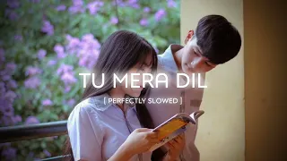 Tu Mera Dil [Perfectly Slowed] | Falak Sabir