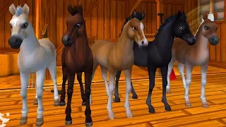 ЗВЕЗДНЫЕ ЛОШАДИ #1 Ночная звезда в Star Stable Horses! Симулятор маленькой лошадки на пурумчата