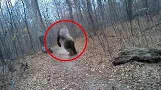 5 Terrifying BIGFOOT Sightings Caught on Camera