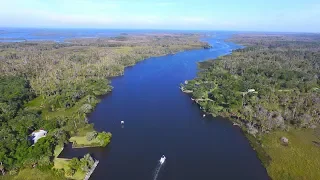 Florida Travel: Visit Crystal River Preserve State Park